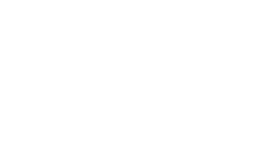 The Stay Edit logo