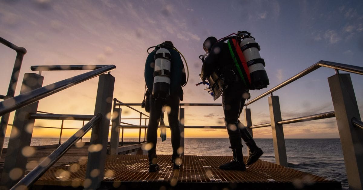Adelaide Scuba Website Completion and Redesign by Boylen highlighting optimised scuba course navigation and bookings.